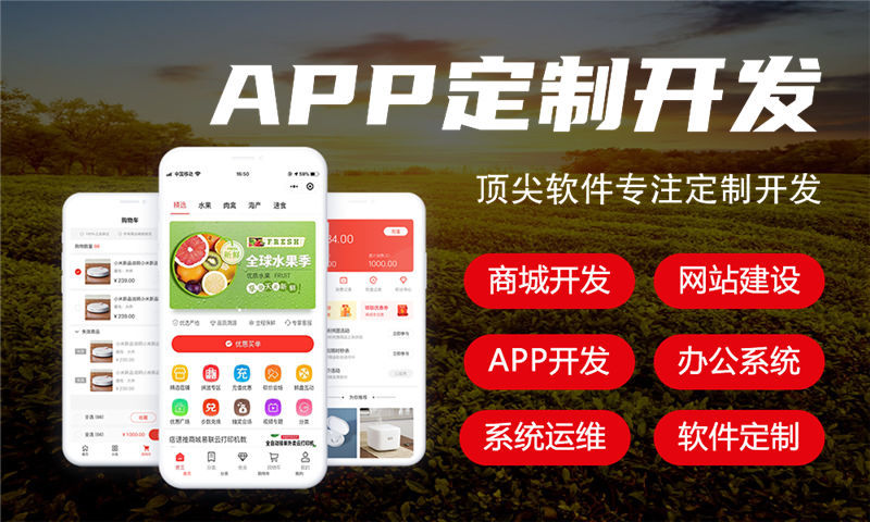 福州进二出一系统开发，20元/袋商业模式软件解决方案