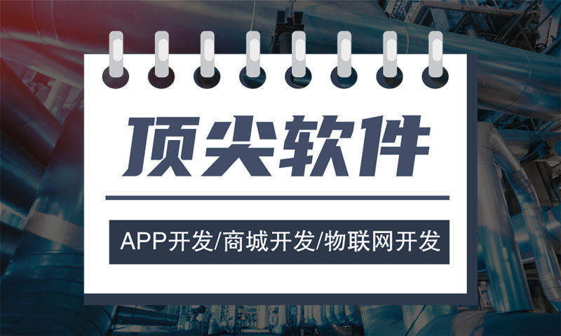 广州排队返利模式介绍软件开发：解决企业业务痛点的高效解决方案