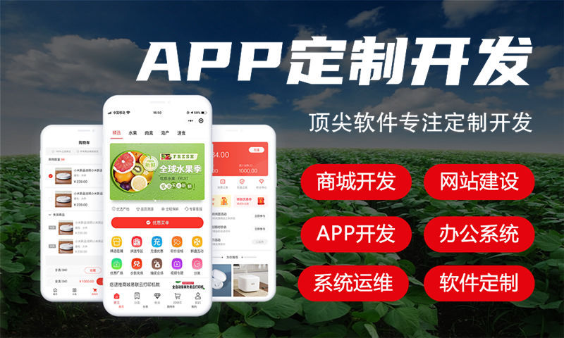 泉州元某先锋排队免单模式系统开发解决方案：提升企业运营效率的数字化利器