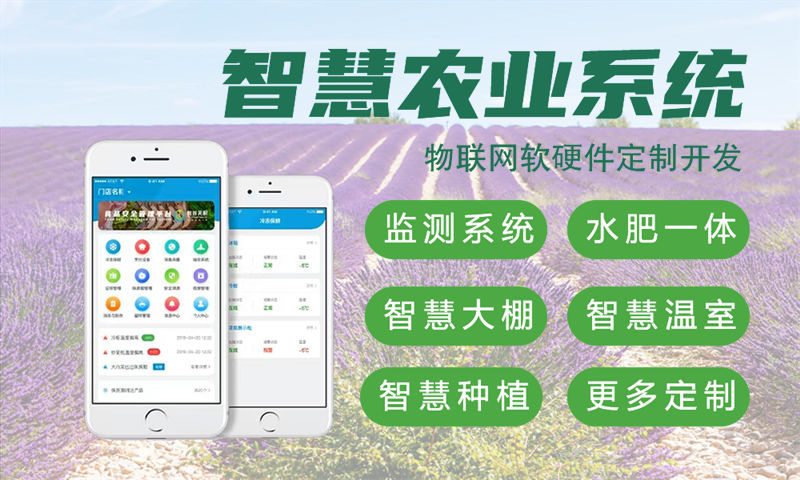 佛山智能终端开发：物联网单片机解决方案助力企业高效转型