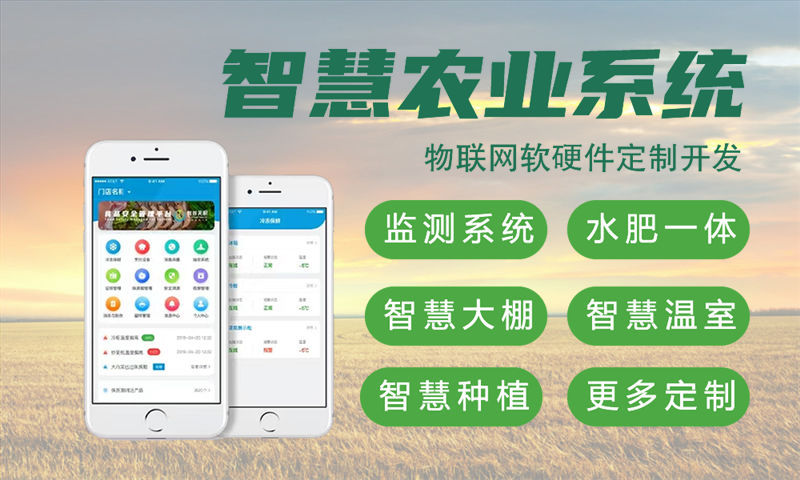 济南物联网开发_济南嵌入式开发_单片机智能硬件开发解决方案-码叔博客