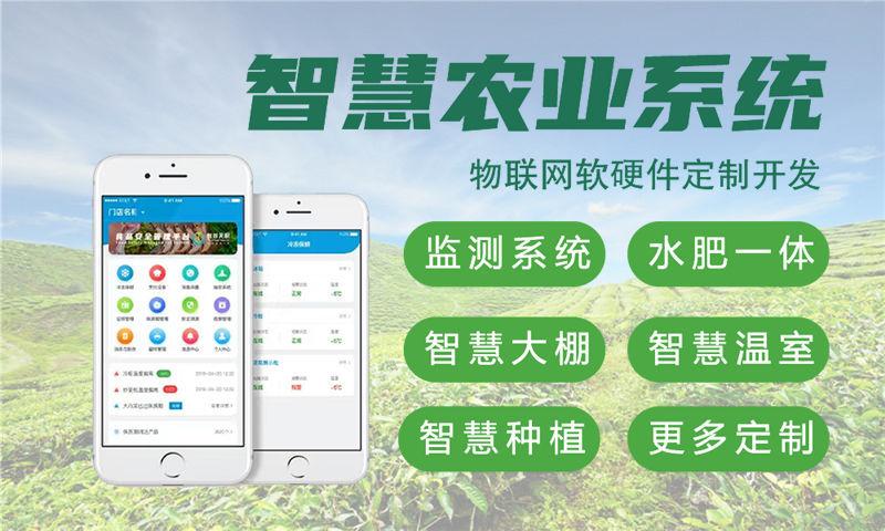 青岛硬件调试服务：加速物联网单片机智能硬件开发，破解企业研发困局