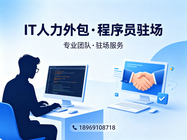 合肥IT人力外包解决方案：破解程序员驻场开发难题，实现技术人才精准匹配